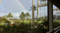 ALOHA -  ALOHA AUTHENTIC CONDO- C29, Comfy & Welcoming.