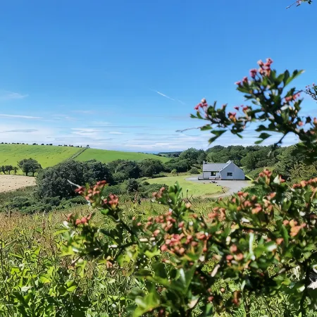 Luxury lodge situated idyllically on the edge of a small working farm