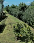 T2 4 km from the beach, with pool and garden - 2-Star
