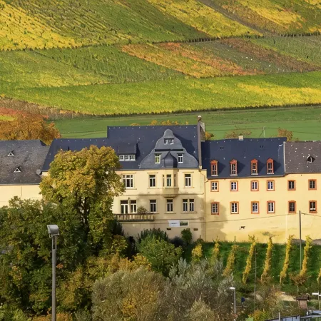 Klosterhof Siebenborn - Wohnen Sie auf Einem Historischen Weingut