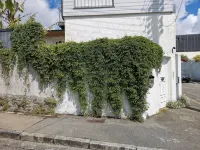 Charming house with white mill.