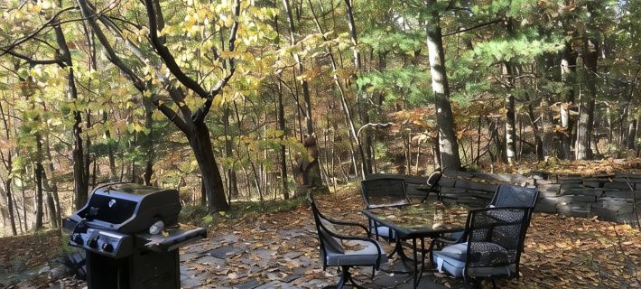 Mid-Century modern Lakeview Stay Ξενοδοχεία στην πόλη Tompkins County
