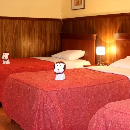 Hotel El Tumi 2