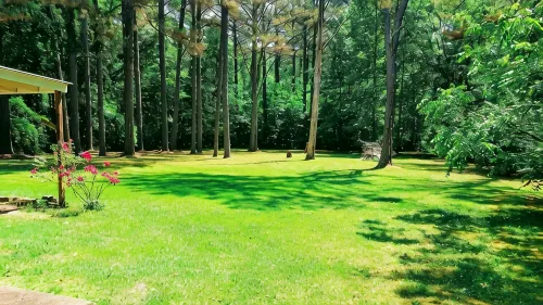 July 4 Open! Perfect Spot on Lake for Fishing! Spacious Home & Backyard