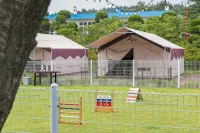 Seosan Pet & Tree Dog Glamping (Individual Barbecue) - مبيت وإفطار