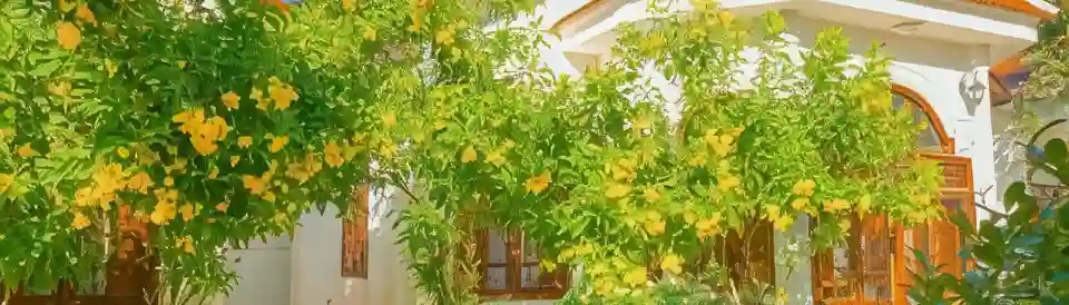 溫斯簡易別墅