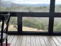 BLUE RIDGE Mountain View Luxury Experience - Mountain view