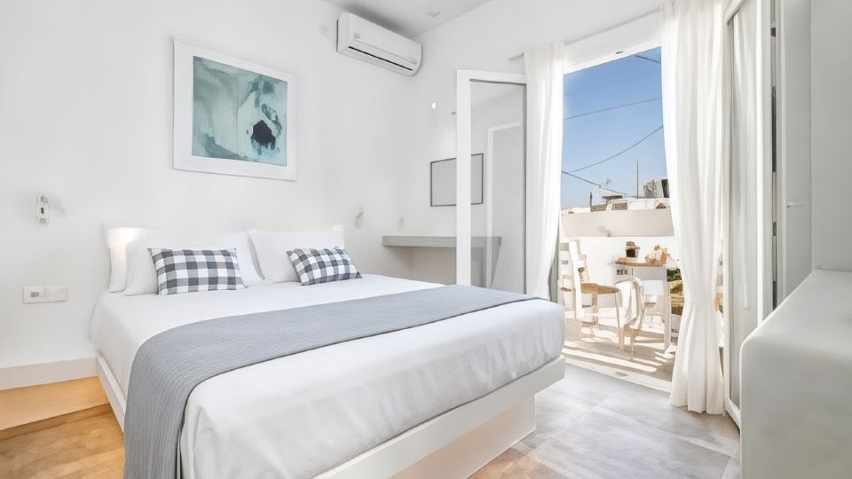 Pelican Paros