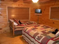 Private House On Greer's Ferry Lake - Homestays