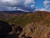 Wi-Fi PRIVATE Cabin in town Black Mountain Montreat FAST to Asheville WOODS - 木屋
