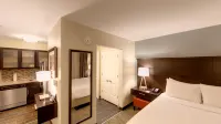 Staybridge Suites ANN ARBOR - UNIV OF MICHIGAN by IHG