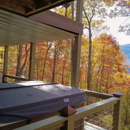 Newly remodeled 3-bedroom house with private hot tub, in welcoming Lake Toxaway. Отели в г. Хогбек