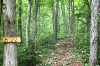 ARK徒步度假私人小屋，無清潔費 - 小木屋