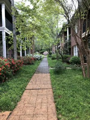 Amazing condo located one block from the square & walking distance to The Grove - Homestays