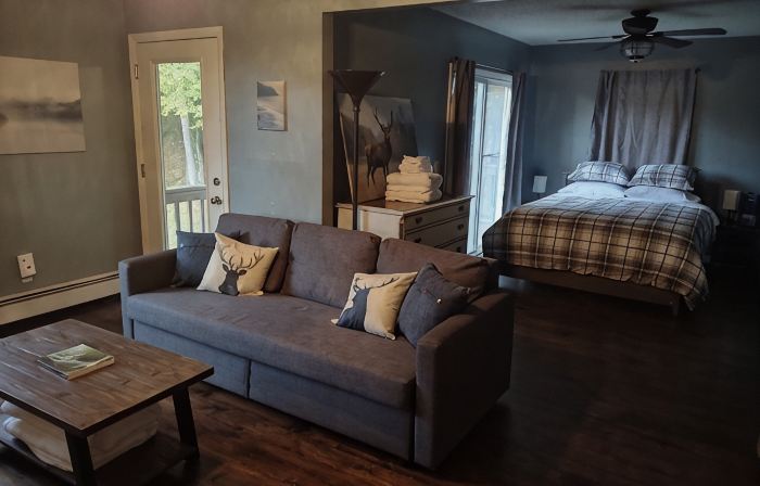 Remote cabin with gorgeous view and sunsets, pets free, fast Wi-Fi!