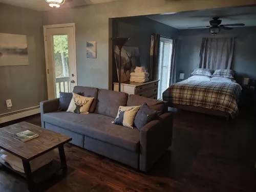 Remote cabin with gorgeous view and sunsets, pets free, fast Wi-Fi! - Chalets