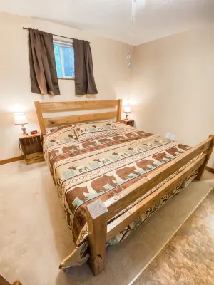 Cozy Bear Cabin - Homestays