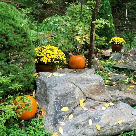 Hot Tub, Private, Rustic Elegance, Visit Barn Animals, Hammocks, 10Miles to Avl.