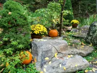 Hot Tub, Private, Rustic Elegance, Visit Barn Animals, Hammocks, 10Miles to Avl. - 샬레 호텔