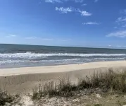 Enjoy an oceanfront getaway with beautiful beach steps from your door. - Beach