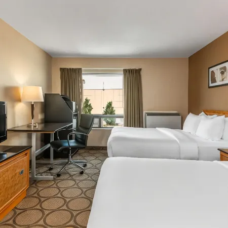 Comfort Inn South