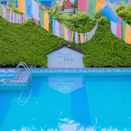 Busy Bee Resort, Pokhara