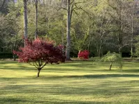 Cabin by the Creek  Sleeps 8 on 3 Beautiful acres - Close to town and activities - Chalets