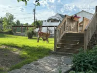 Renovated, Modern House in Hancock, NY Near Delaware River - Træningscentre
