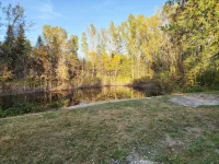 Watch the Leaves Change Color at the Woods - Chalets