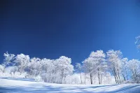 Urabandai Highland Pension Anniversary - 2つ星