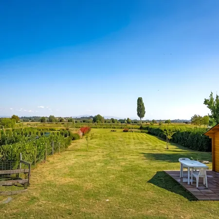 Borgo Terrosi Hotels in Sinalunga