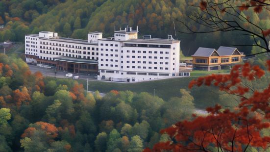 Hotel Taisetsu Onsen＆Canyon Resort