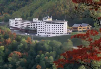 Hotel Taisetsu Onsen＆Canyon Resort