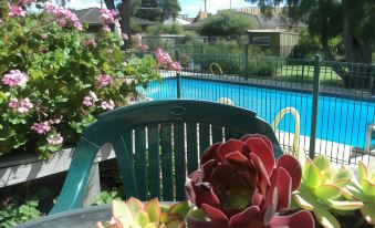 a small backyard with a swimming pool surrounded by green plants and flowers , creating a relaxing atmosphere at Parkwood Motel & Apartments