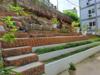 Pillow Guest House Hotels in 
