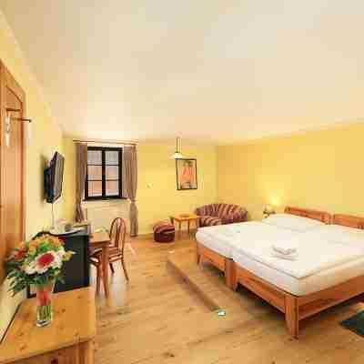 Hotel Zlaty Andel Rooms