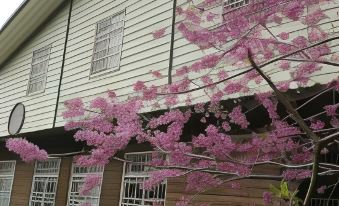 An Yun Mountain Homestay