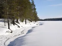 Villa Livo Hotels in Eastern Lapland