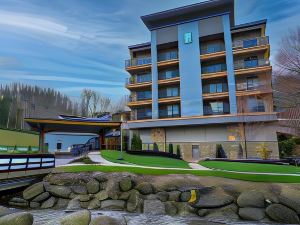 Embassy Suites by Hilton Gatlinburg Resort