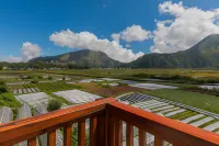 Teras Sawah Guest House Syariah