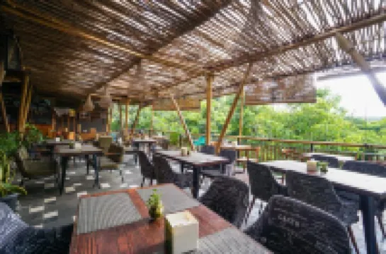 Oak Tree Glamping Resort