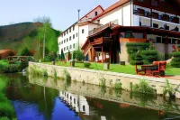 Pensiunea Mai Hotels in Cisnădioara