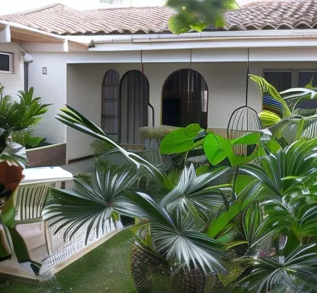 50N15 B&B