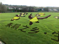 7 デイズ インチェーンホテル(漢中洋県和平路)