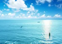 Ocean Beach Villas - Carita Kondominium