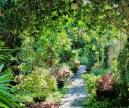 Rommai Rimnaam Resort