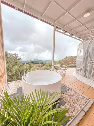 รูปภาพของม่อนชาพาเพลิน ม่อนแจ่ม