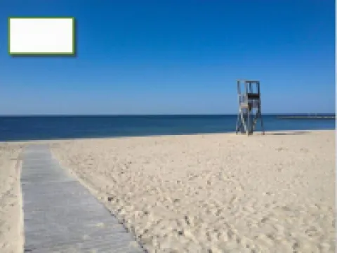 West Harwich- Cozy Cape House walking distance to Dennis Port & Bell's Neck path Hotels in Harwich