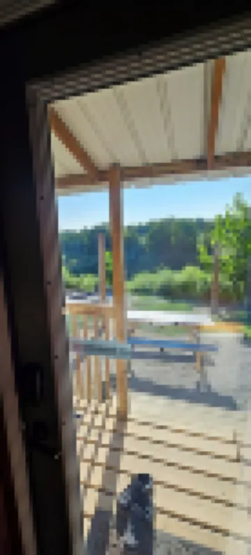 Killing time with nature cabin #3