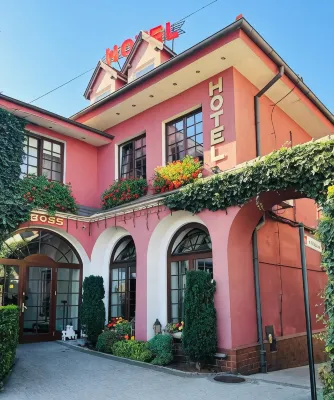 Hotel Restaurant Boss Hotels in Nekla